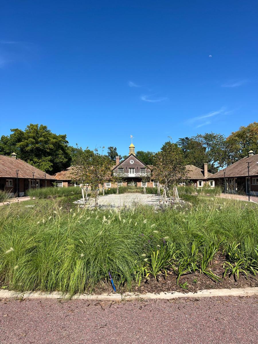 image 36