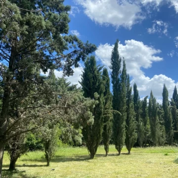 BAJO DE PRECIO !!! 2.4 Ha para Loteo- desarrollo en Pilar- Pilar