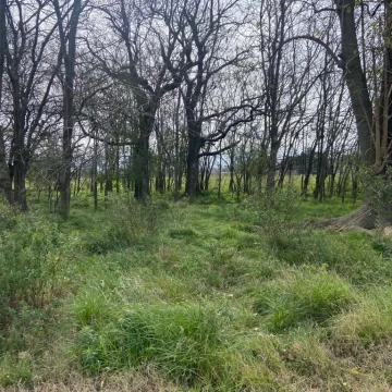Terreno en Barrio Semi cerrado - Loma Verde - Escobar
