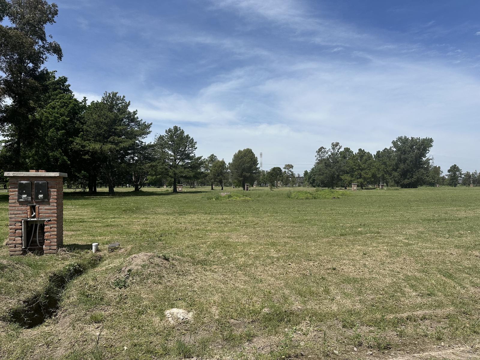 image 14