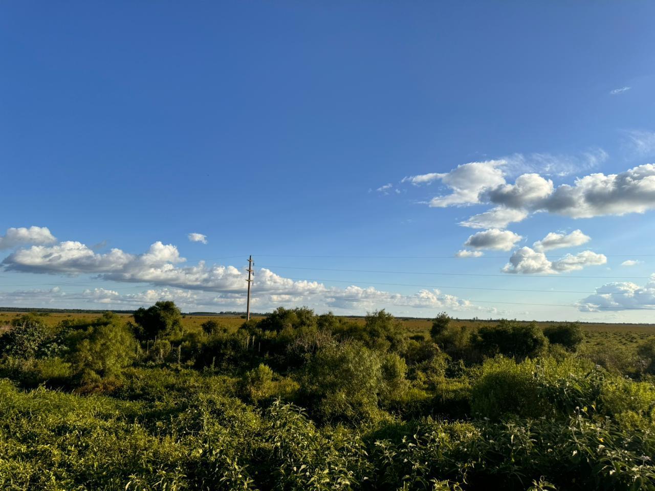 image 24