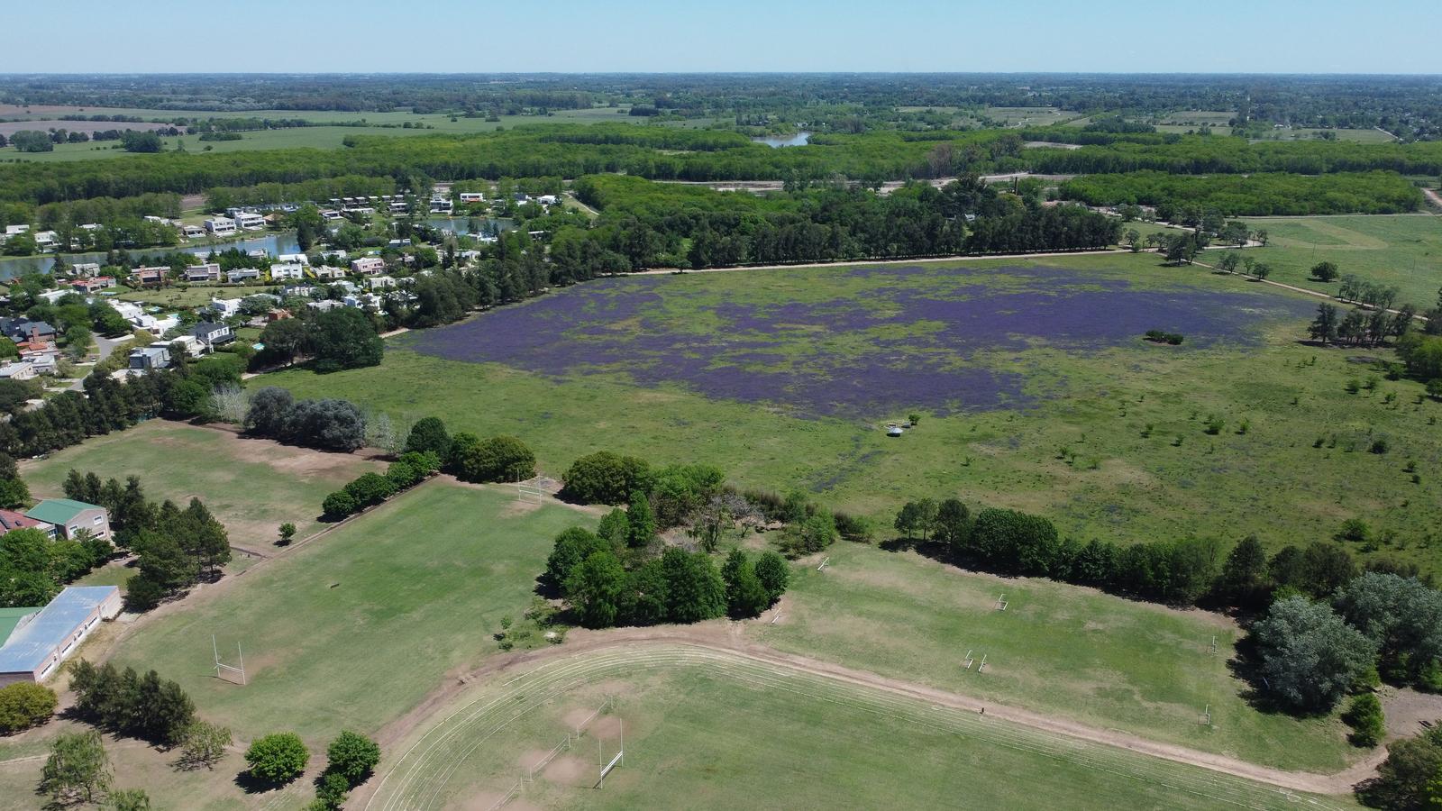 image 27