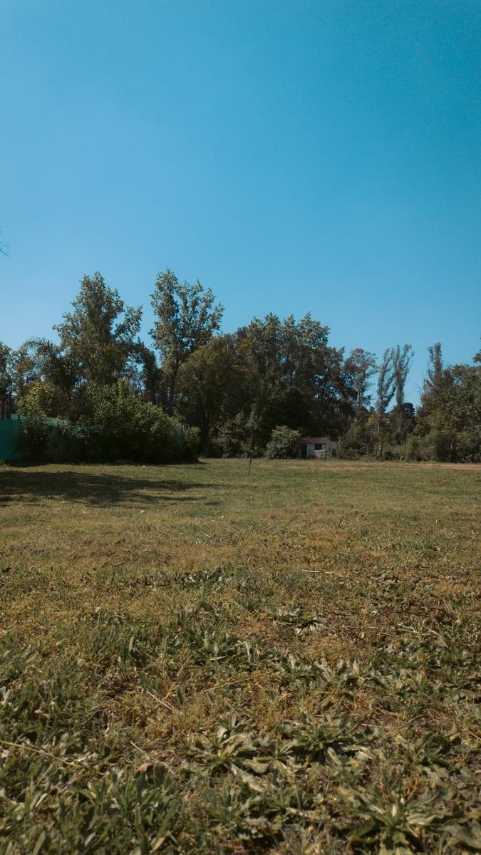image 18