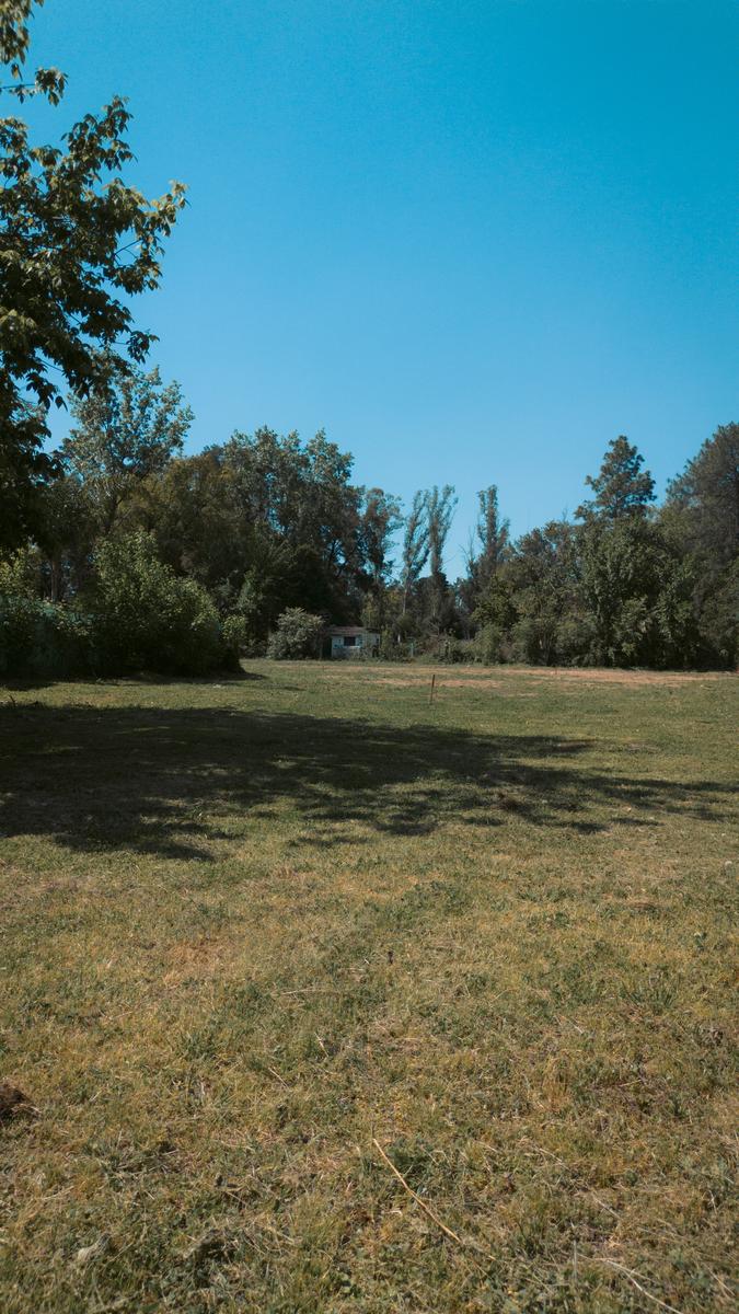 image 14