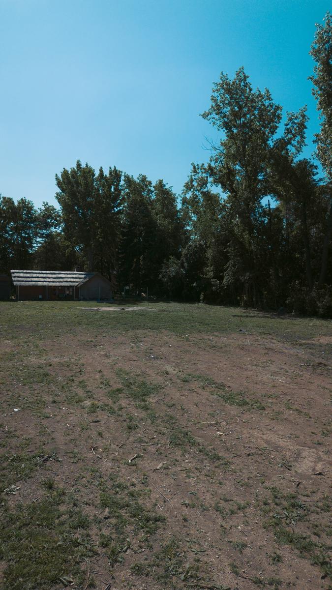 image 17