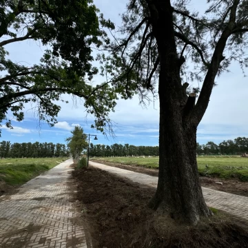 REVENTA - OPORTUNIDAD LOTE ALMAHUE PILAR