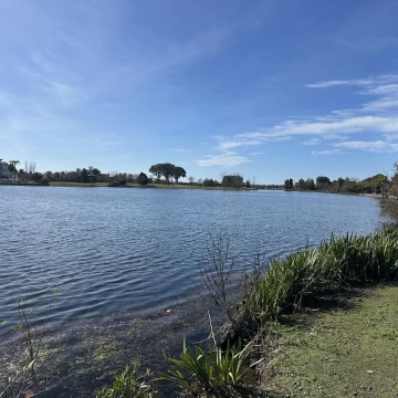 Lote en Venta - La Isla, Nordelta - La mejor ubicación!