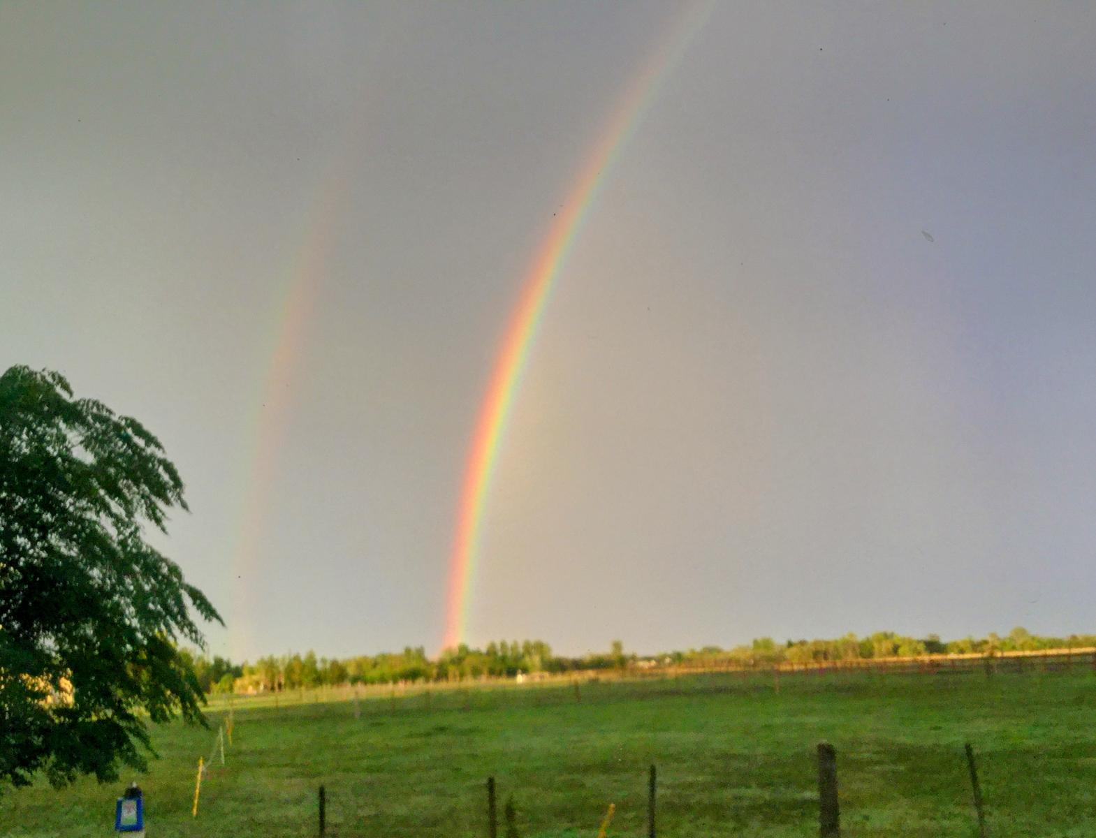 image 68