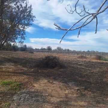 VENTA DE TERRENO, BUEN ORDEN, SAN MARTIN