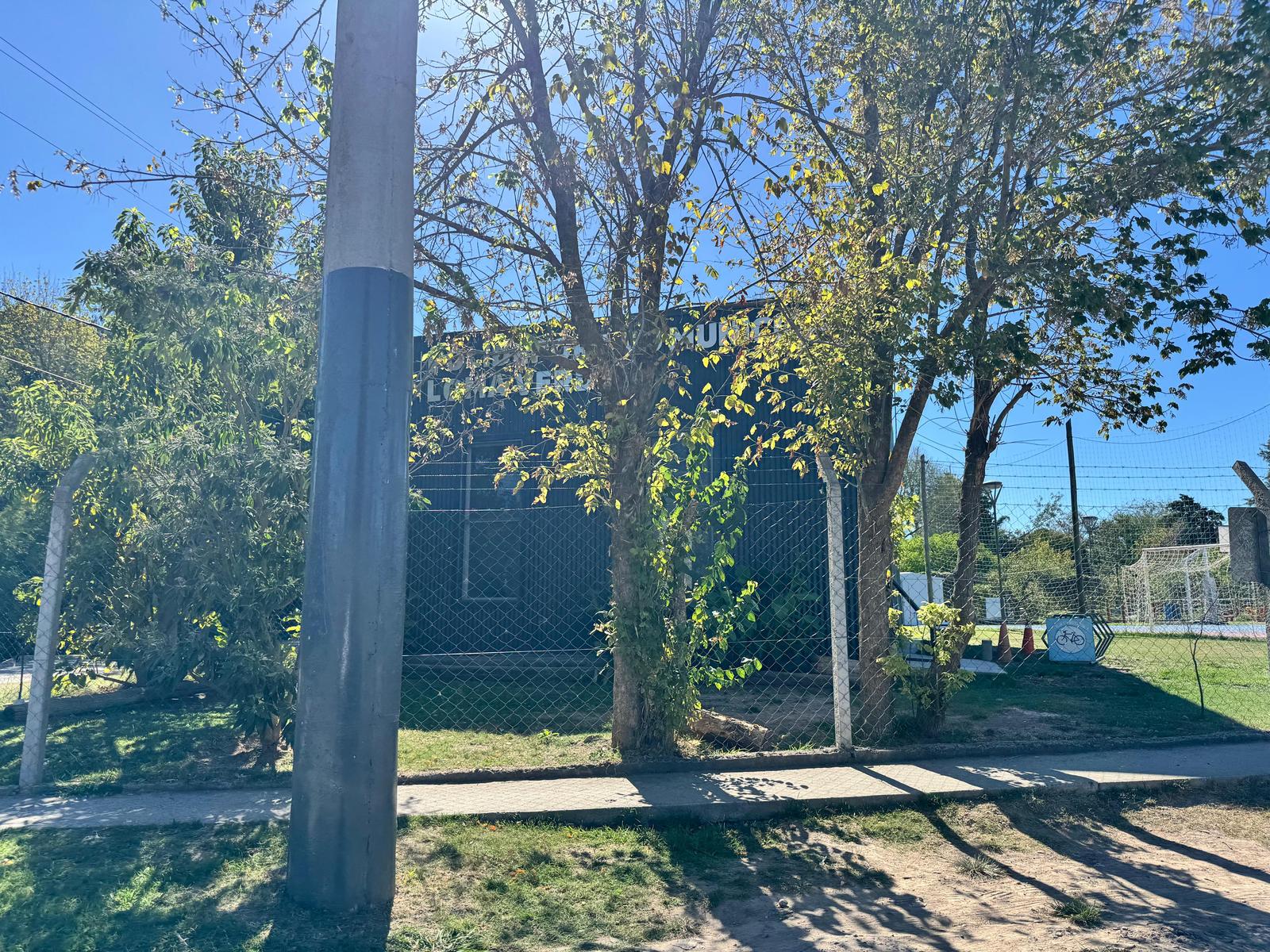image 13