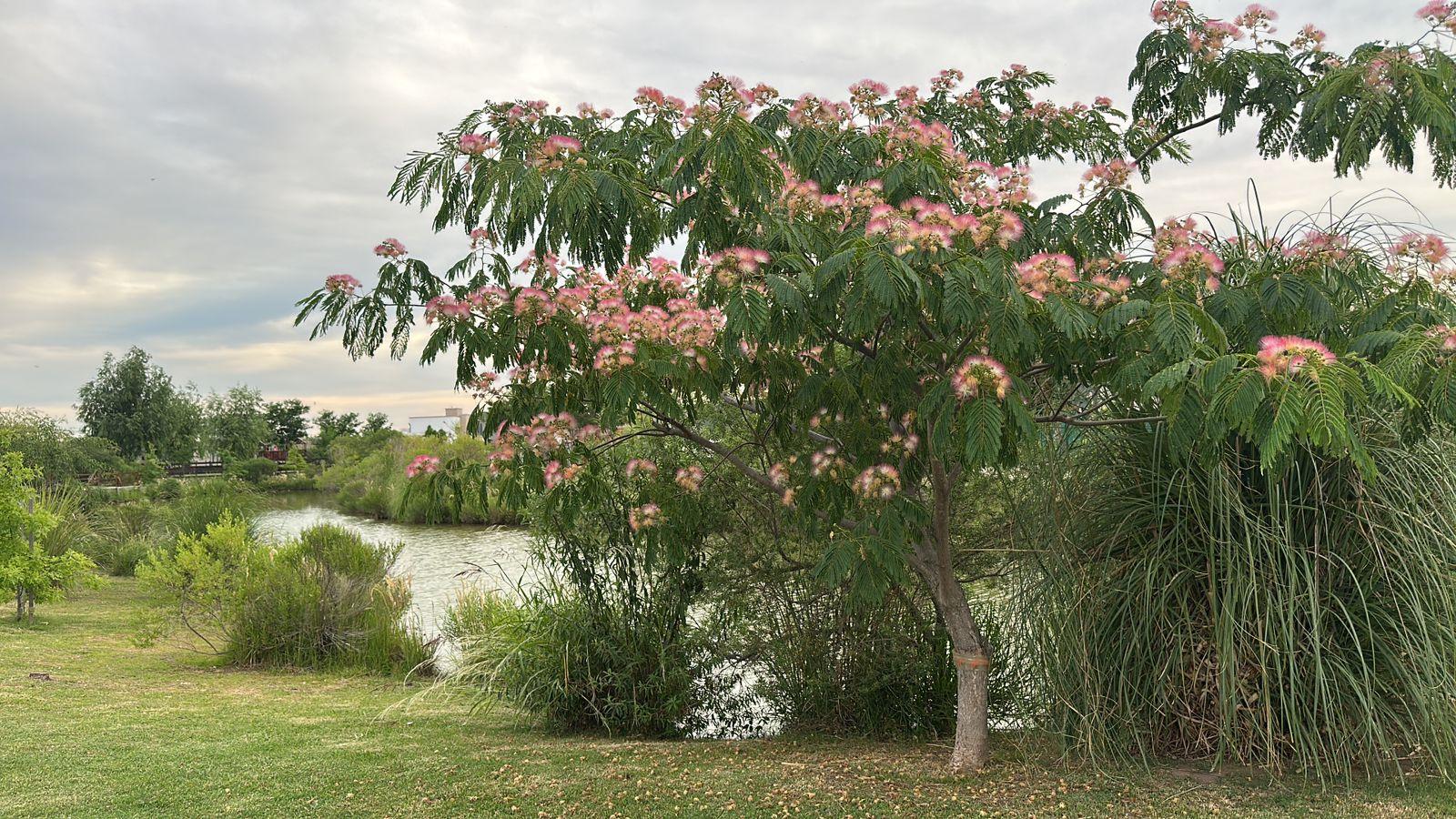 image 21