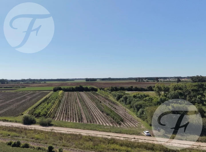 Parcela de 2 hectáreas con excelente ubicación en San Pedro