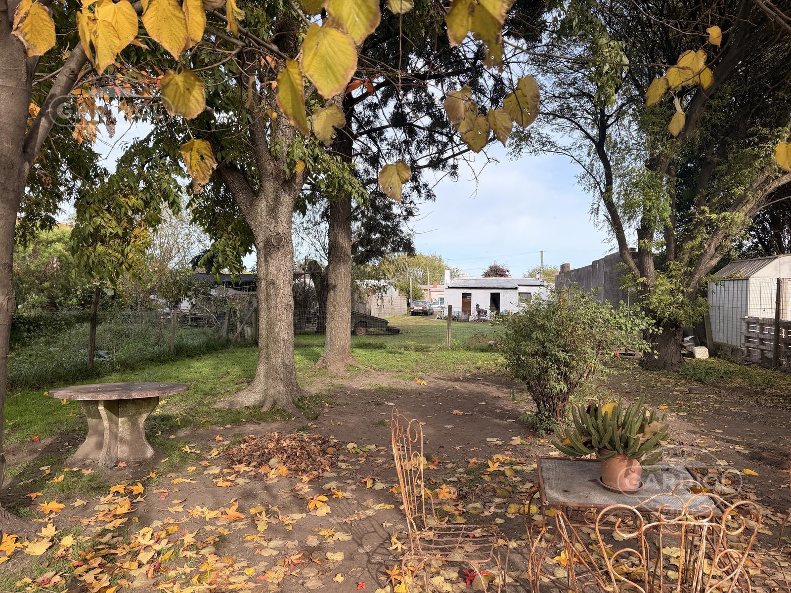 image 14