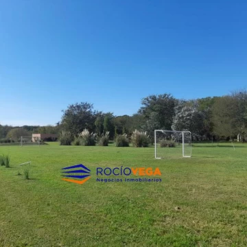 1782487484.jpg