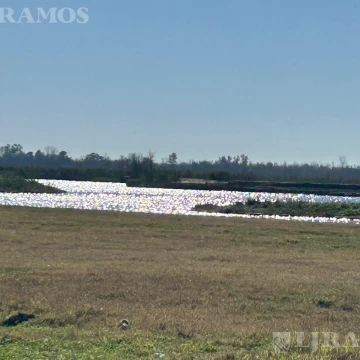 Terreno en Puertos del Lago
