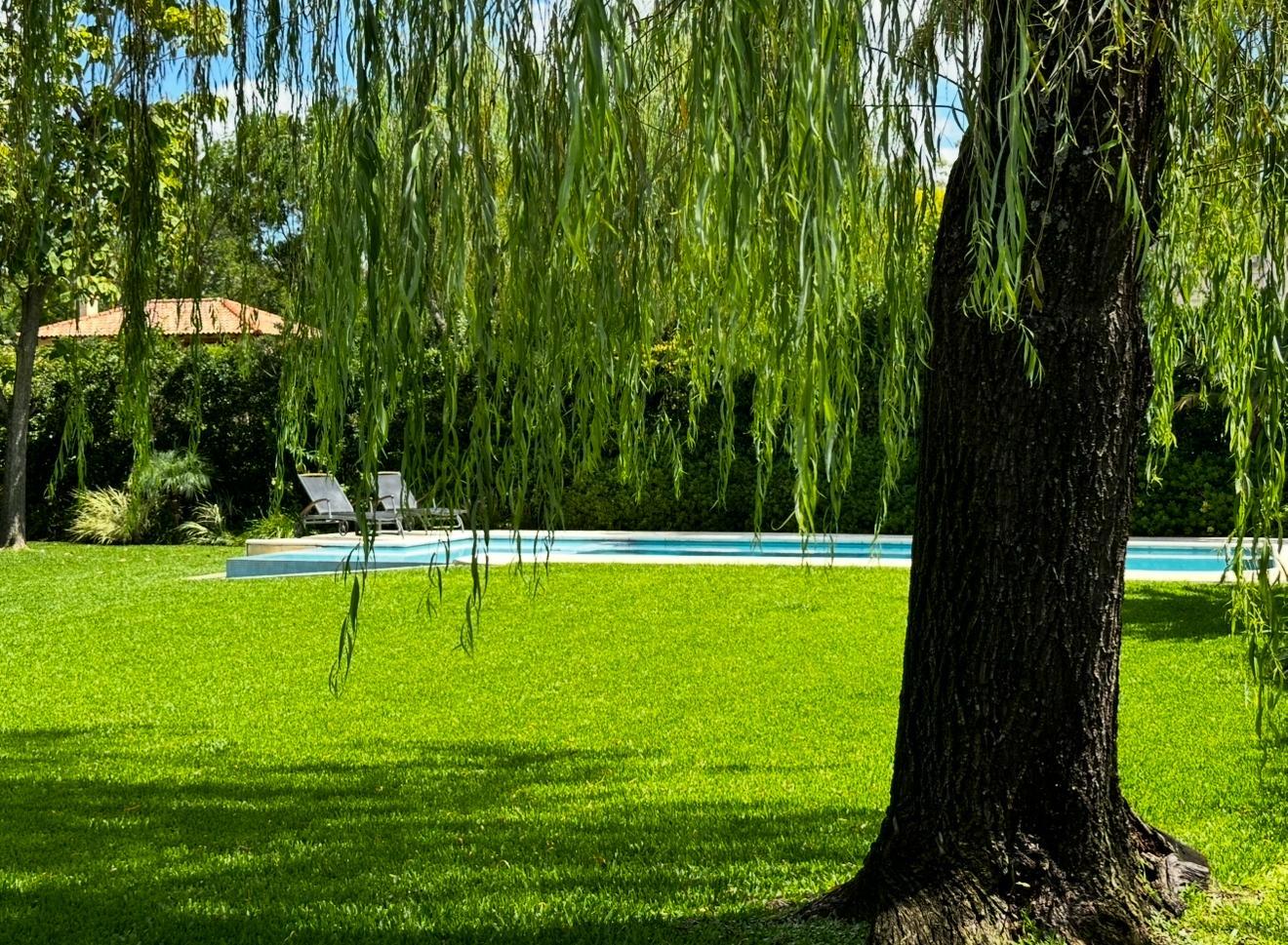 image 25