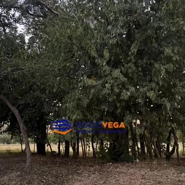 1782494660.jpg