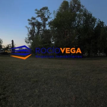 1782494662.jpg