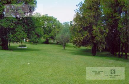 image 30