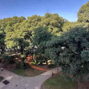 1782502440.jpg