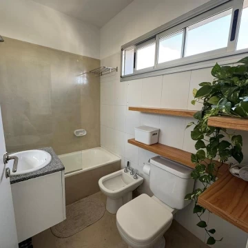 1782502544.jpg