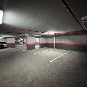 1782502675.jpg