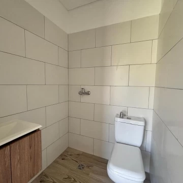 1782502801.jpg