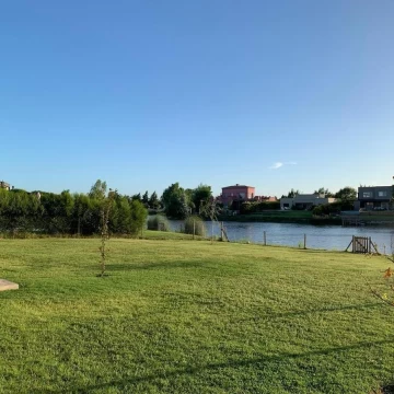 1782503090.jpg