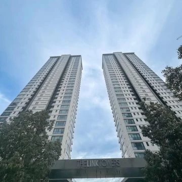 1782503546.jpg