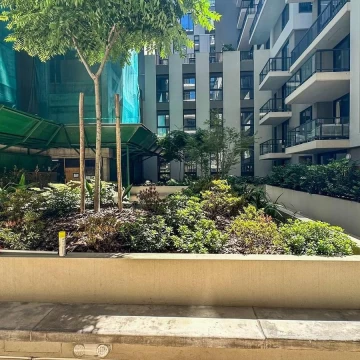 1782503629.jpg