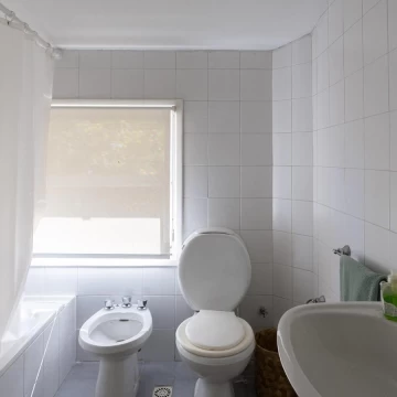 1782503666.jpg
