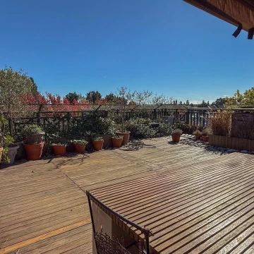 1782503825.jpg