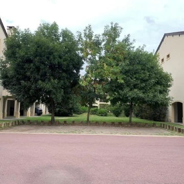 1782504260.jpg