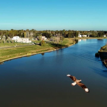1782504380.jpg