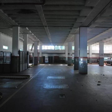 1782504800.jpg