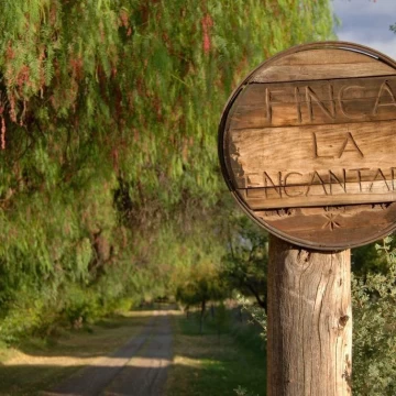 1782504833.jpg