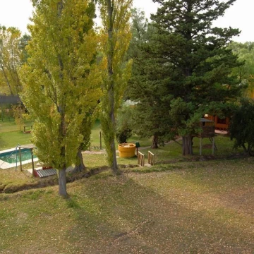 1782504834.jpg
