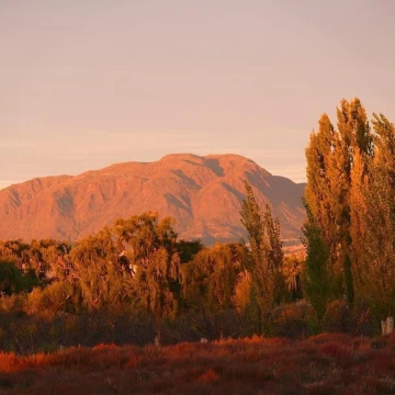 Terreno Campo  en Venta en Rama Caída, San Rafael, Mendoza, Argentina