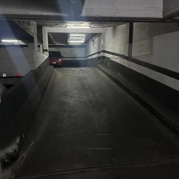 1782505244.jpg