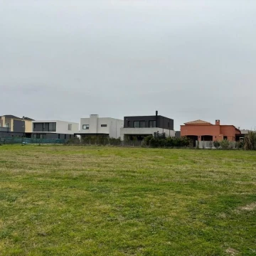 1782505272.jpg