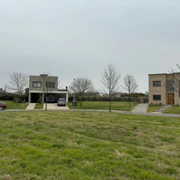 1782505273.jpg