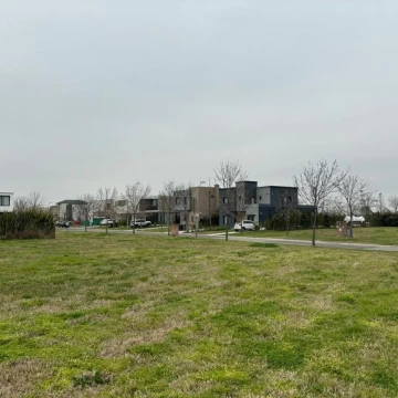 1782505273.jpg