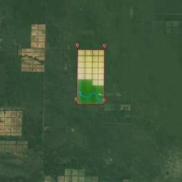 1782505386.jpg