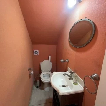 1782505427.jpg