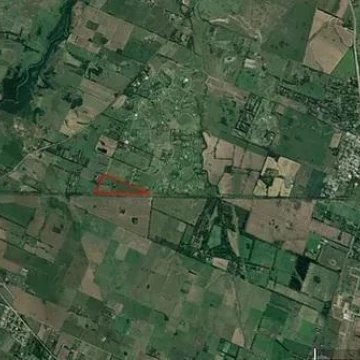 1782505512.jpg