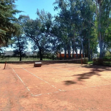 1782505518.jpg