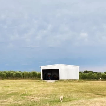 1782505552.jpg