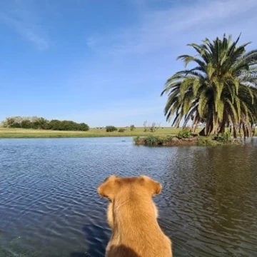 1782505554.jpg