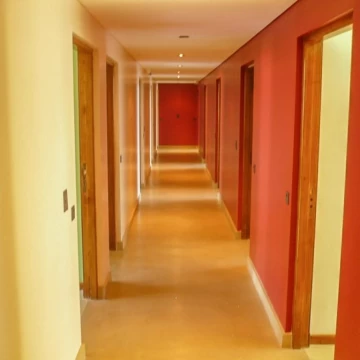1782505742.jpg