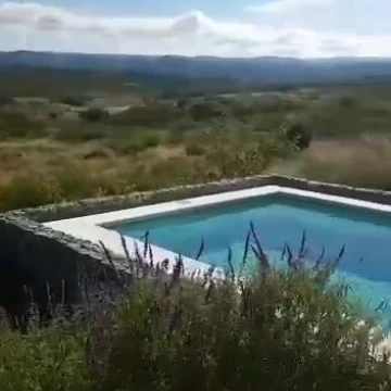1782505972.jpg